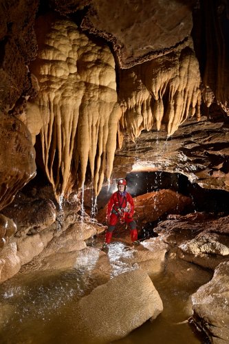 Grotte de l'Olivier (Lot) - Spéléo dans petite rivière avec de l'eau ruisselant sur des stalactites(SP-23-1801)